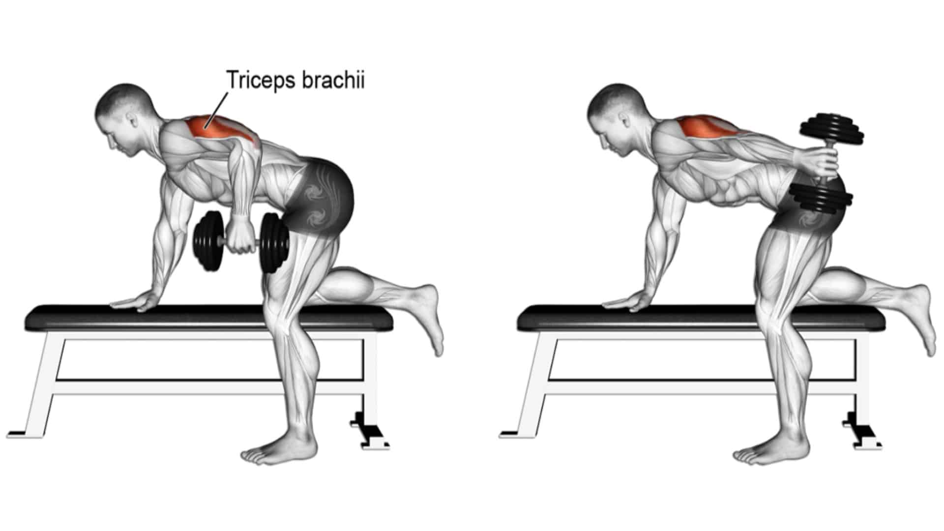 Standing two-arm dumbbell kickback exercise instructions and video