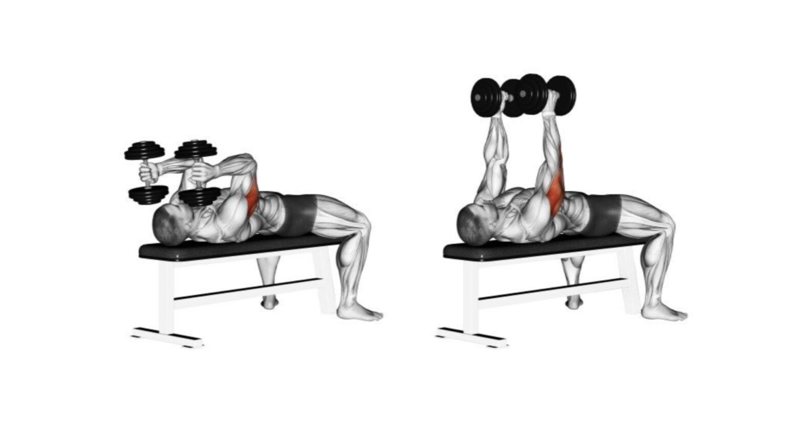 75+ Top Tricep Exercises Names (With Images)