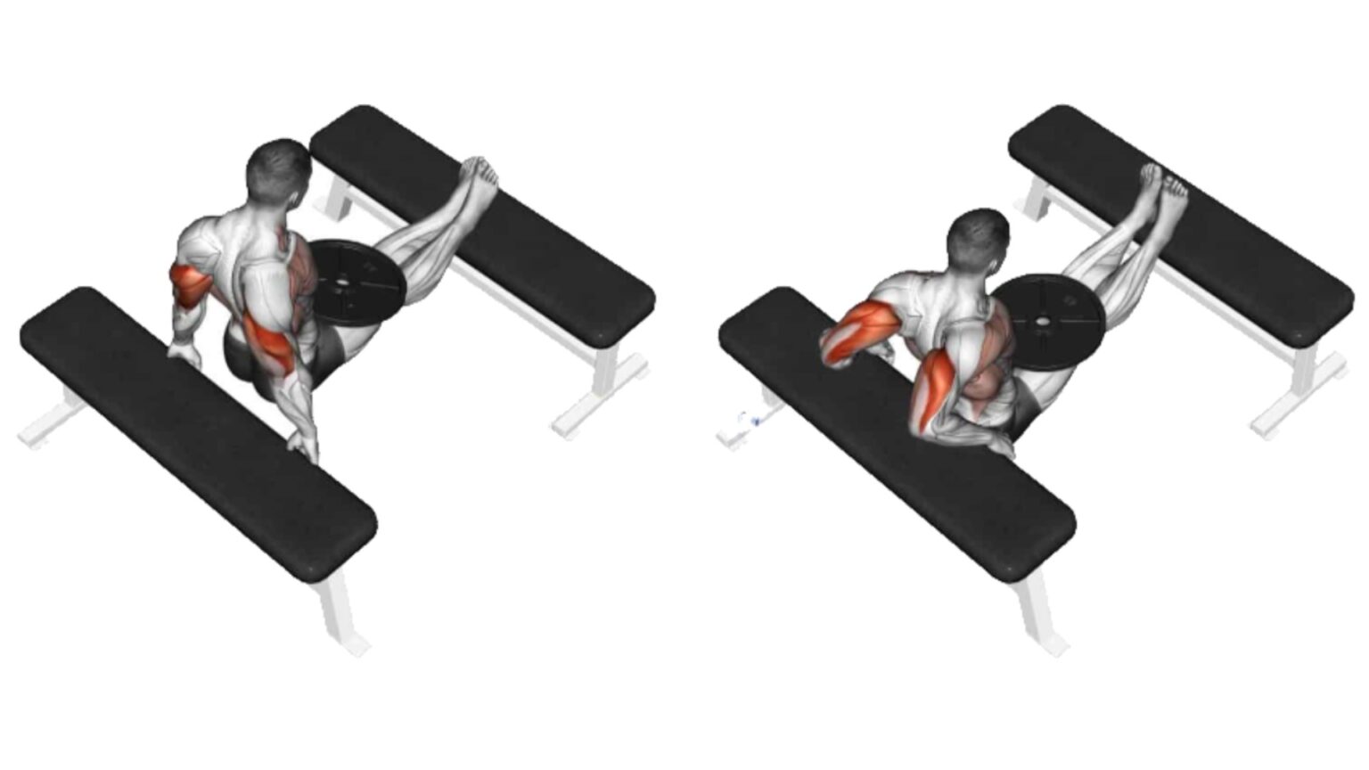 Bench Dips: How To Do, Muscles Worked and Form