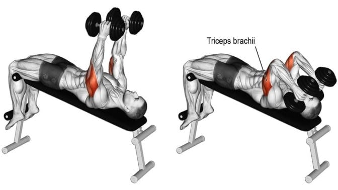Decline Dumbbell Tricep Extension