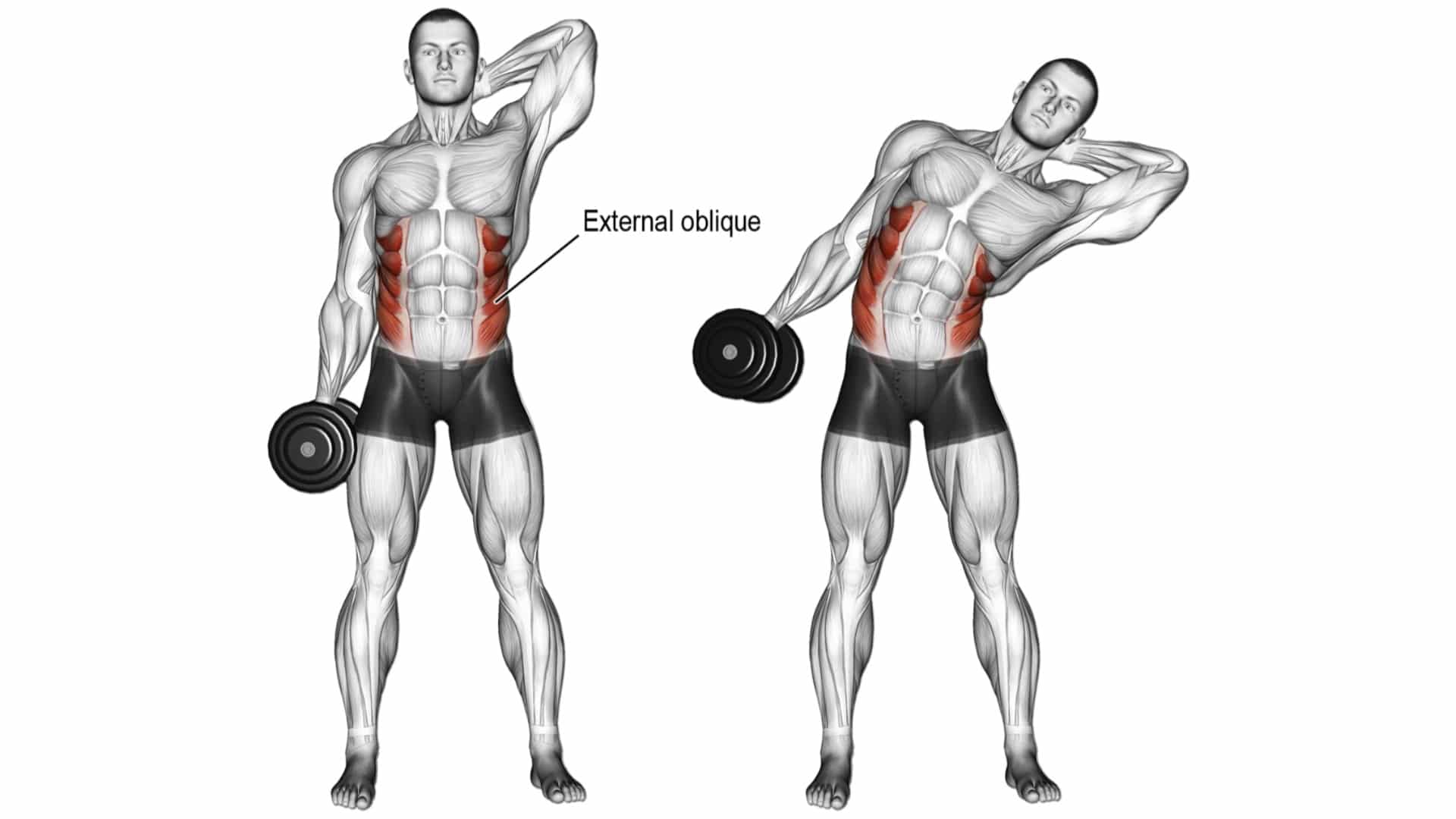 Standing Oblique Crunches Exercise