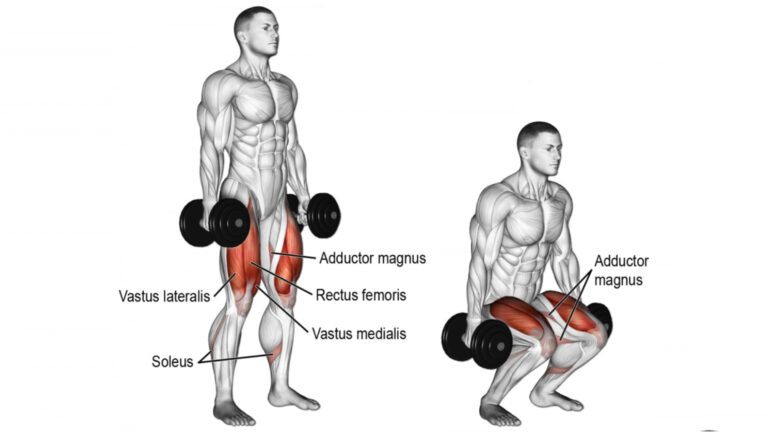 Dumbbell Quad Exercises To Build Mass & Strength