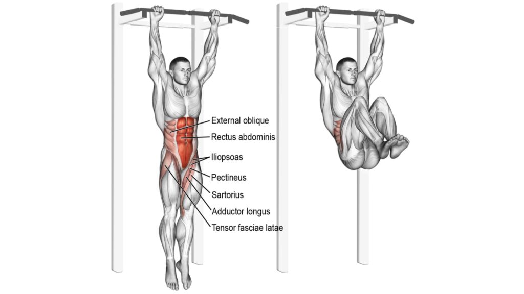 Hanging Knee Raise abs Exercises
