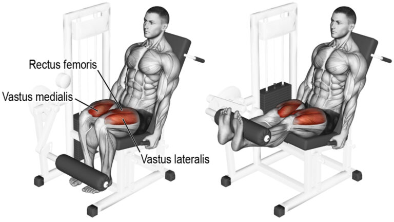 Machine Leg Workout Example Tutorial 10 Gym Machine For Leg Workout (With Exercises Names)