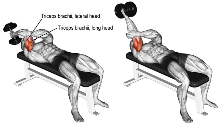 One-Arm Dumbbell Lying Triceps Extension