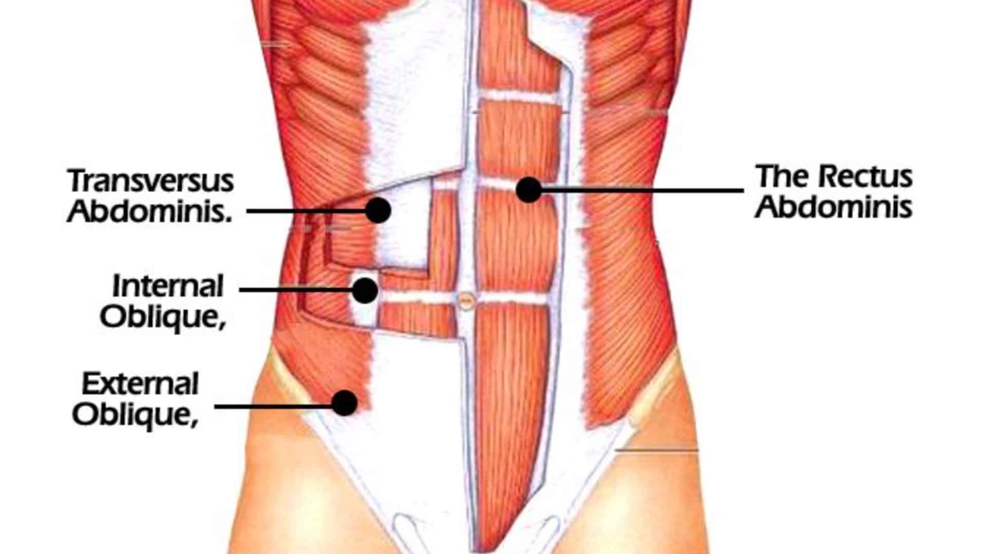 Abdominal transverso ejercicios