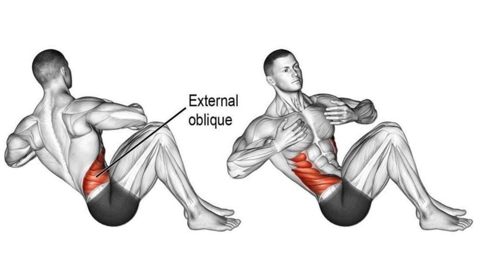 Best External Oblique Exercises To Get Shredded And Strong Sides Best External Oblique Exercises To Get Shredded And Strong Sides