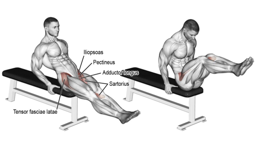 Seated Knee Up abs Exercises