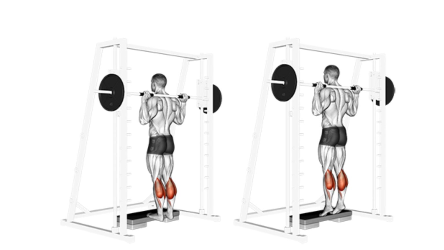 7 Best Gym Machines For Calves (With Calf Raise Exercises)