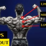 Trap Workout and Exercises