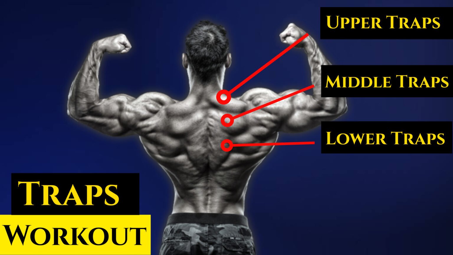 What Exercises Traps at Vida Powers blog