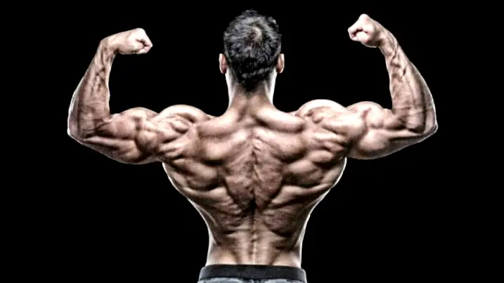 Best Back Exercises And Workout