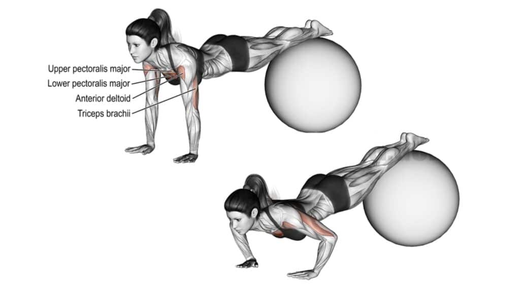 Feet on stability ball push-up