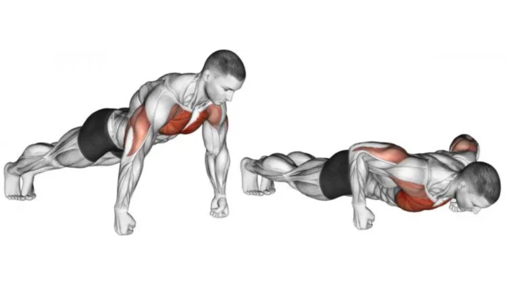 Knuckle push-up