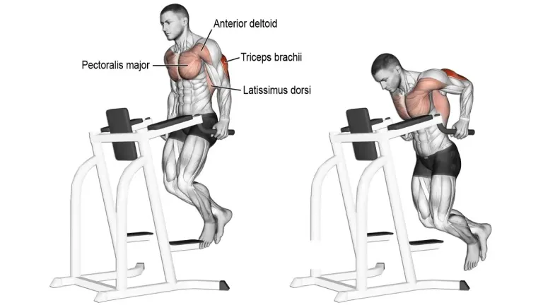 Parallel Bar Triceps Dip