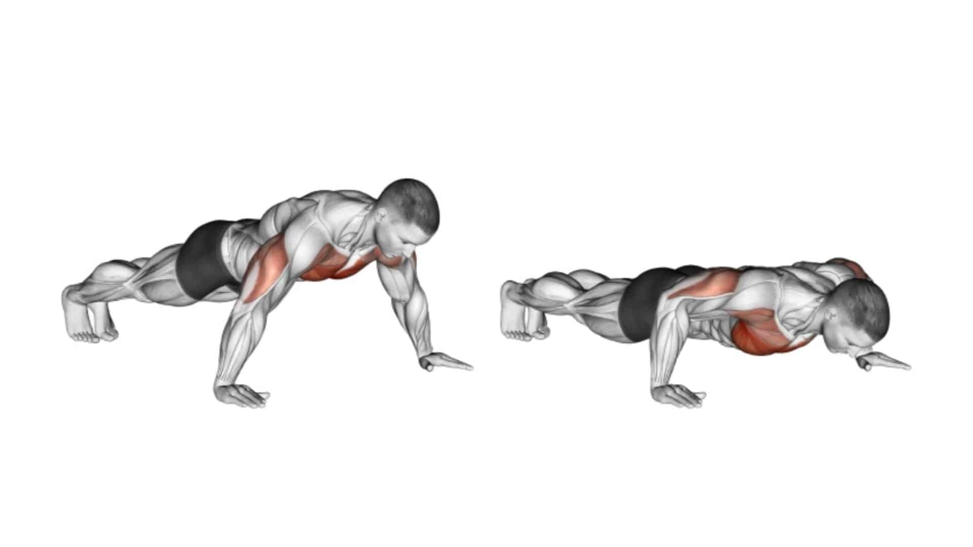 push-ups-how-to-muscle-worked-benefit-variations