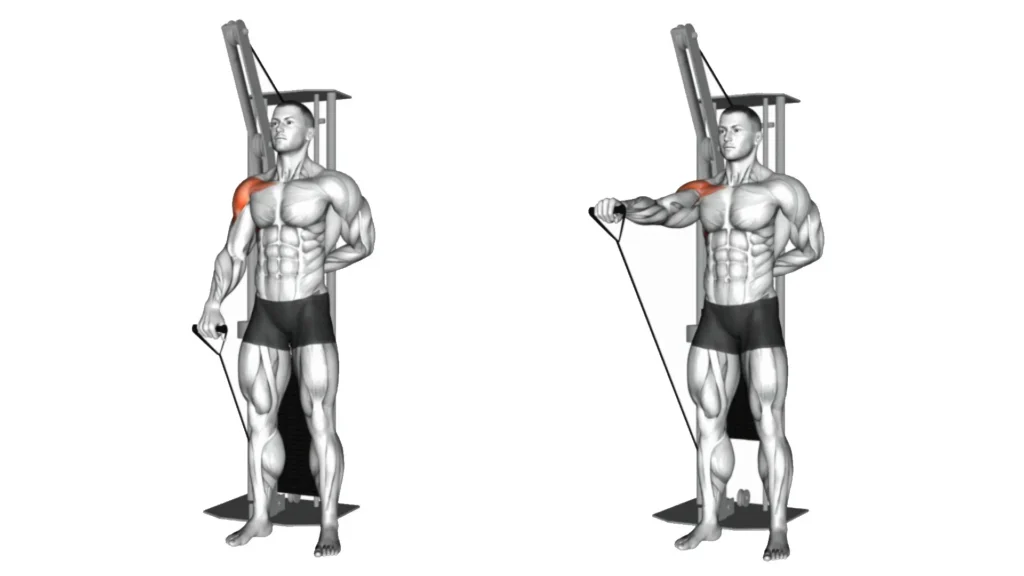 Cable Front Raise: Muscles Worked, Benefits, Tips