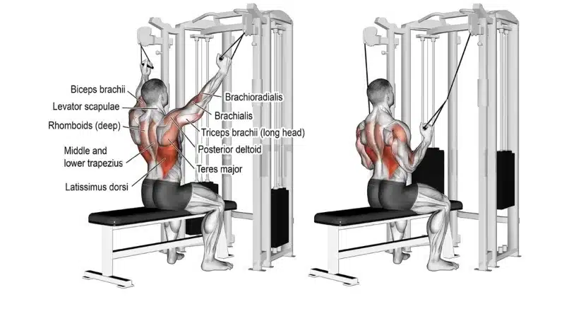 Double cable neutral-grip lat pull-down