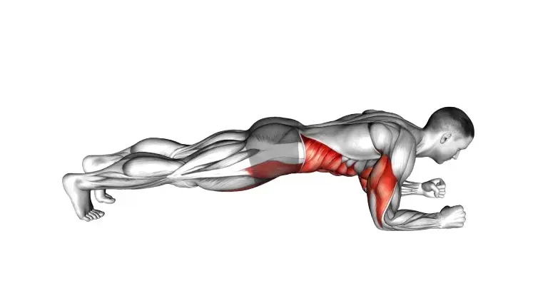 Plank Exercises Complete Workout Guide To Build Strong Core
