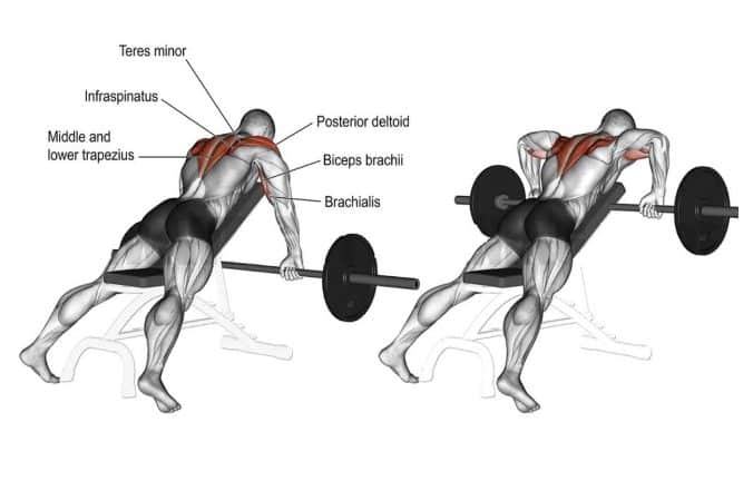 Pronated Incline Upright Row - Muscle & Fitness