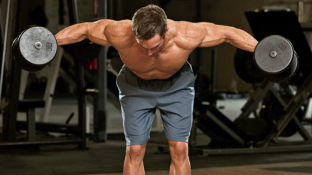 Rear Delt Fly Muscles Worked Benefits Variations 