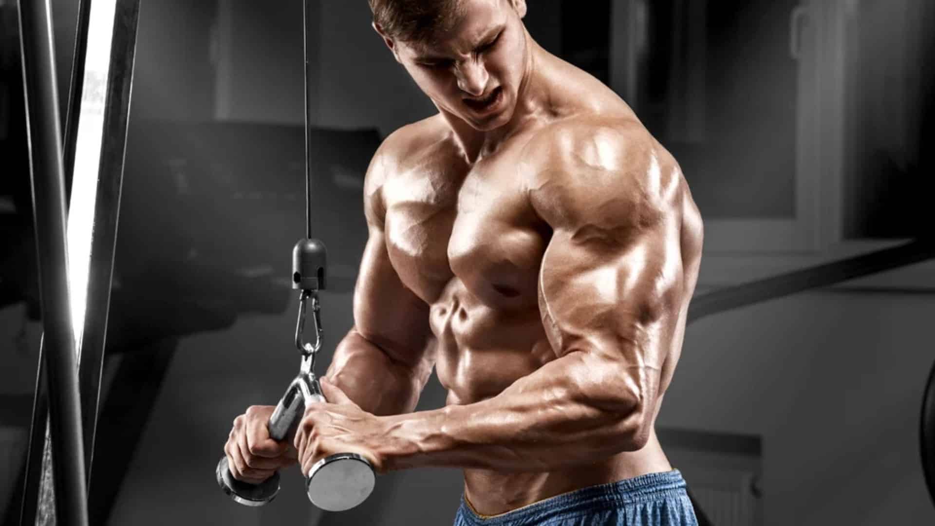 Best Triceps Cable Exercises for Building Bigger Arms