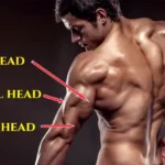 Long head Triceps Exercises for Bigger, Stronger Arms