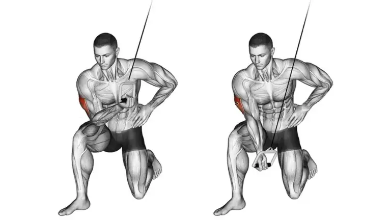 Cable Concentration Triceps Extension