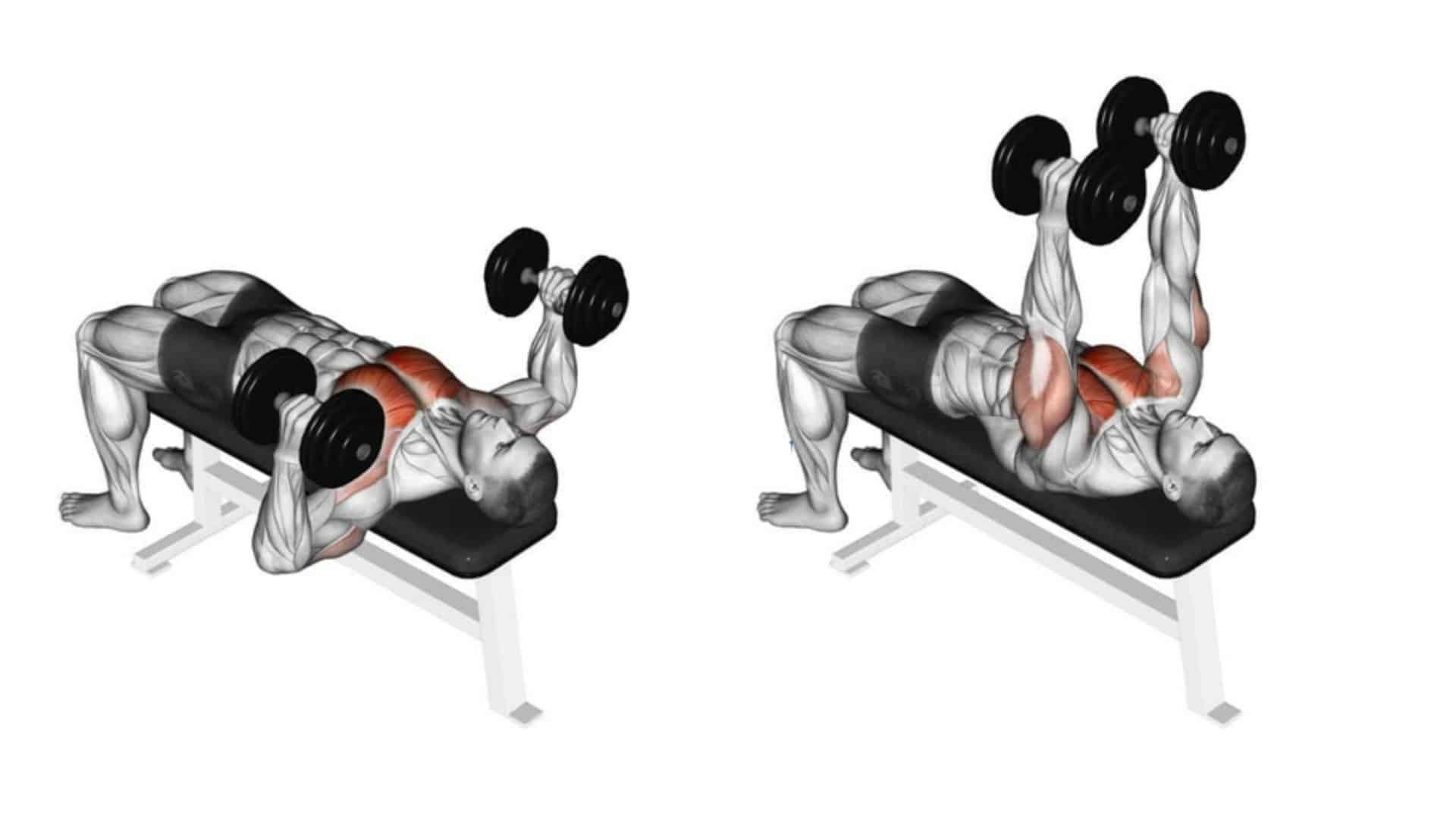 How To Do Decline Dumbbell Bench Press With Perfect Technique