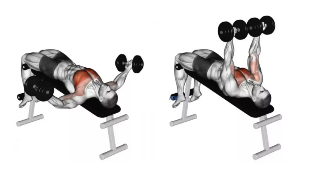 The Ultimate Guide to Decline Chest Fly Exercises