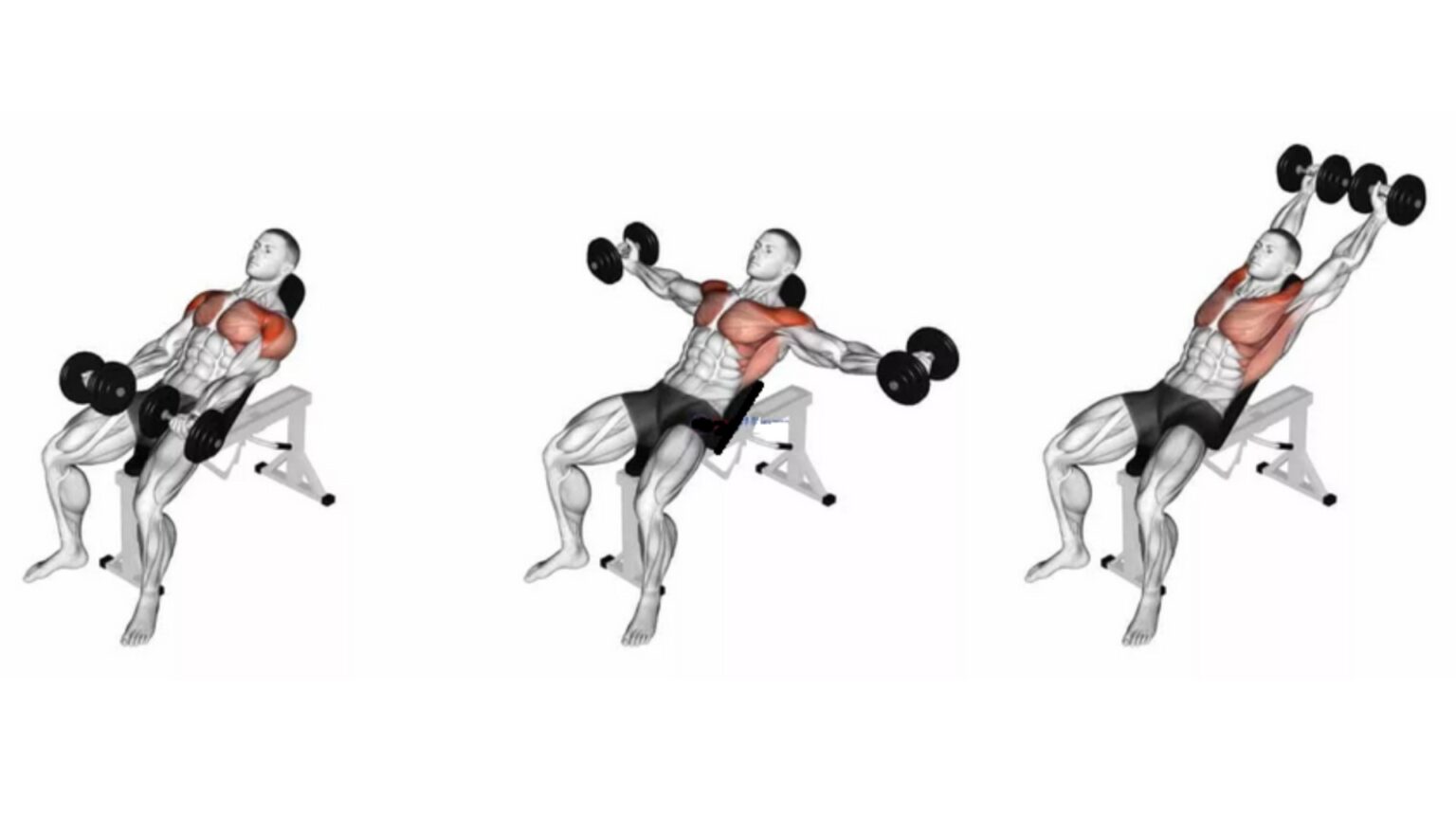 125+ Top Dumbbell Exercises Names (With Images)