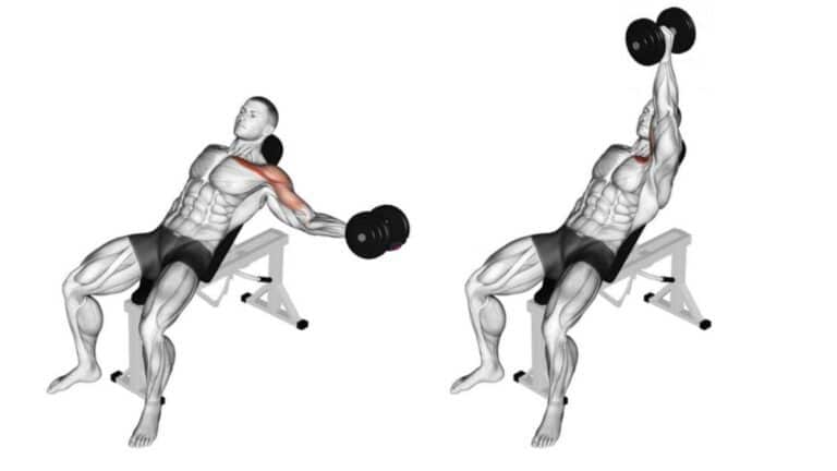 125+ Top Dumbbell Exercises Names (With Images)