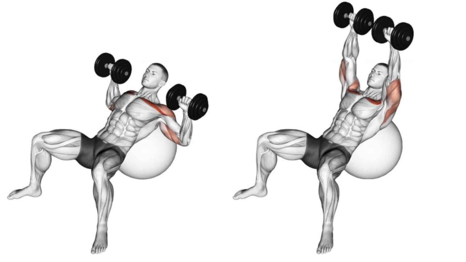 10 Best Dumbbell Upper Chest Exercises (With Workout Routine)