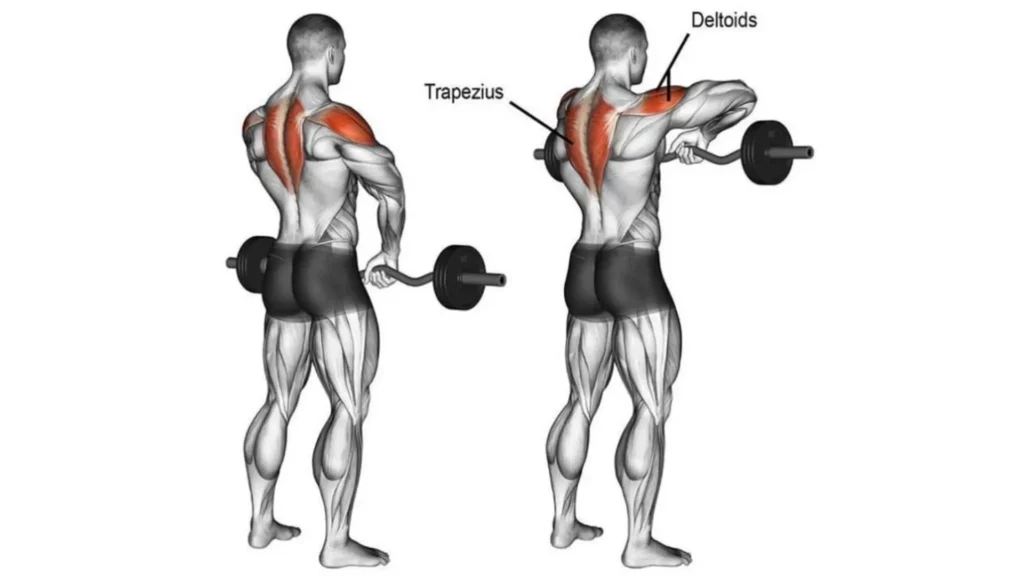 How To Do Upright Row