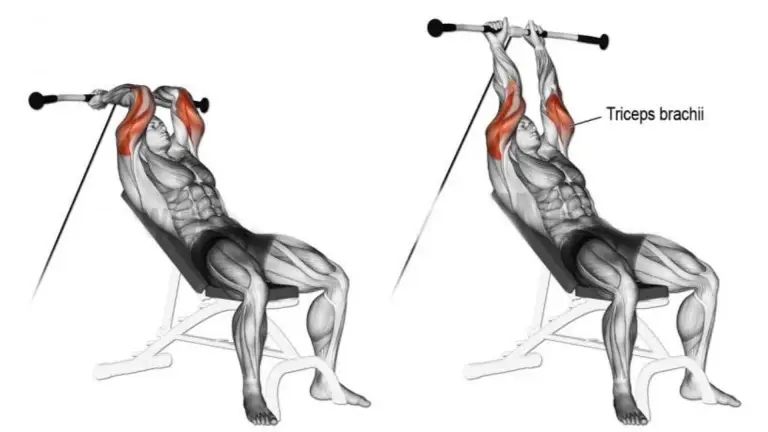 Incline Cable Triceps Extension