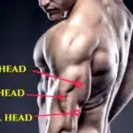 Medial head triceps exercises