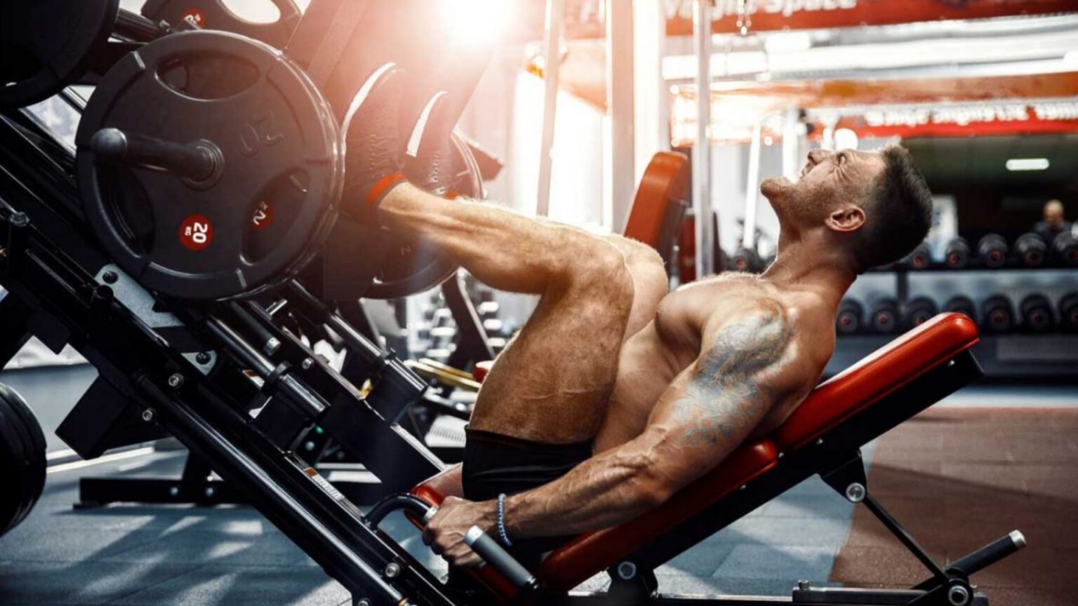 20 Best Quad Exercises to Build Mass & Strength