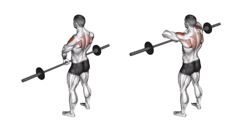 Close Grip Barbell Upright Row