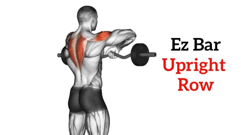 EZ bar wide-grip upright row exercise instructions and video