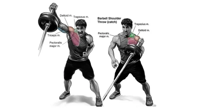 Muscles Worked During Landmine Press