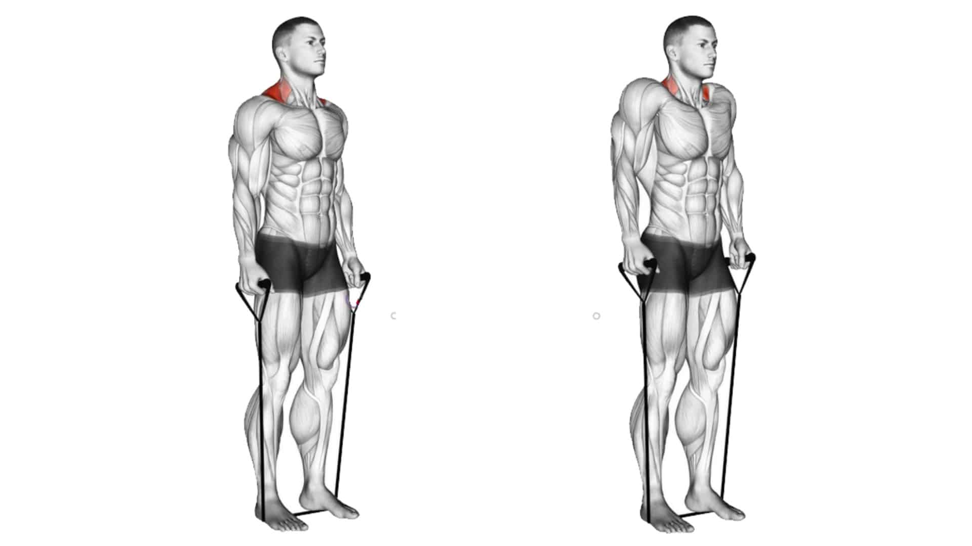 Resistance Band Trap Exercises for Mass and Strength