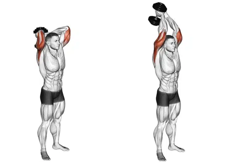 Standing Dumbbell Tricep Extension