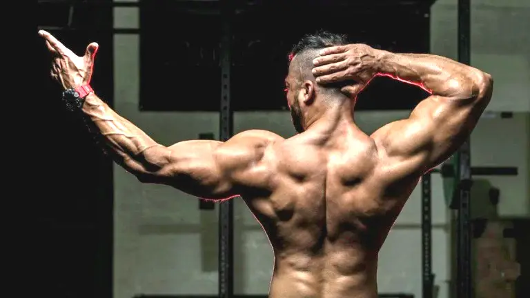 Best Back and Bicep Workout for Muscle Growth