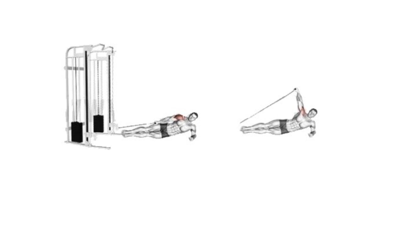 Cable Lateral Raise How To Do and Muscles Worked