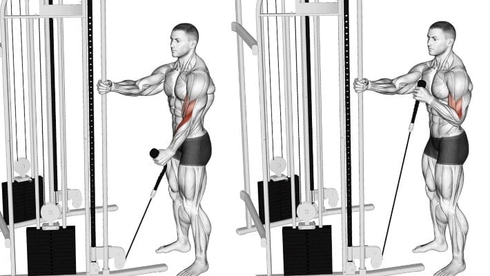 Single Arm Cable Hammer Curls