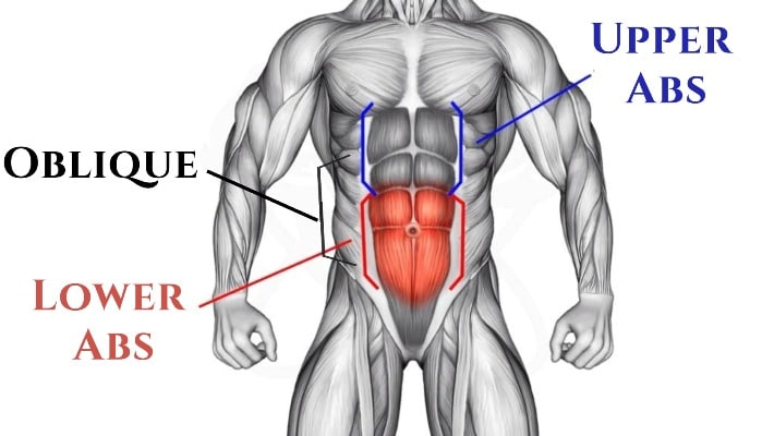 Upper ab, Lower ab and oblique exercises