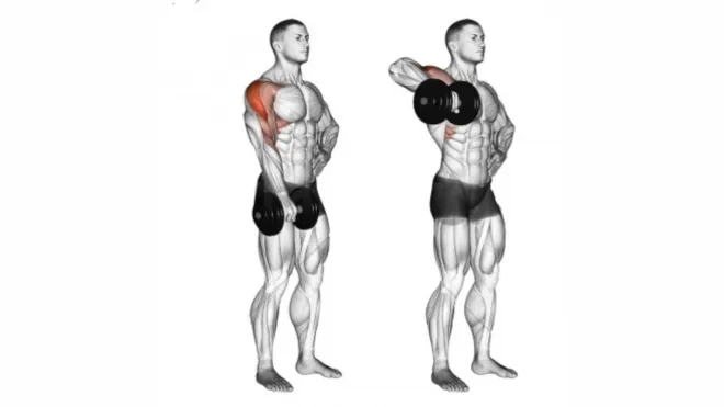 Kettlebell row one online arm