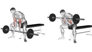 Close Grip Barbell Curl: Muscles Worked, Benefits & Alternative