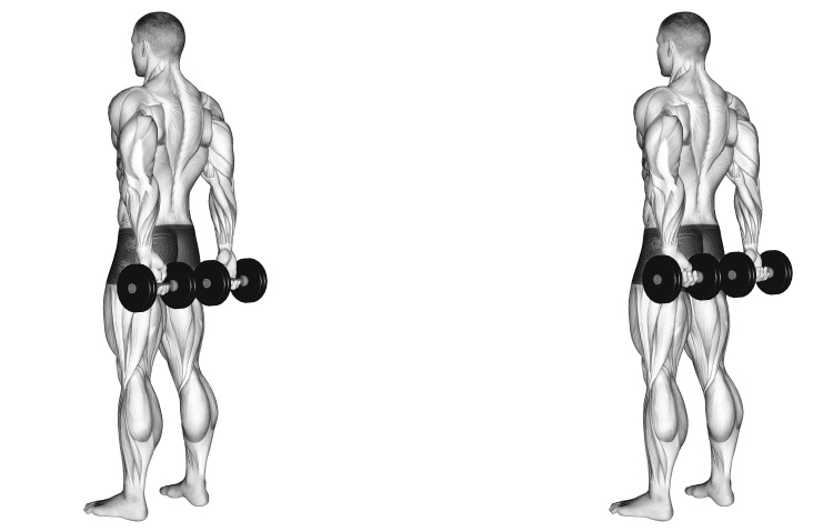 Behind-the-back dumbbell shrugs