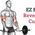 EZ bar reverse grip curl